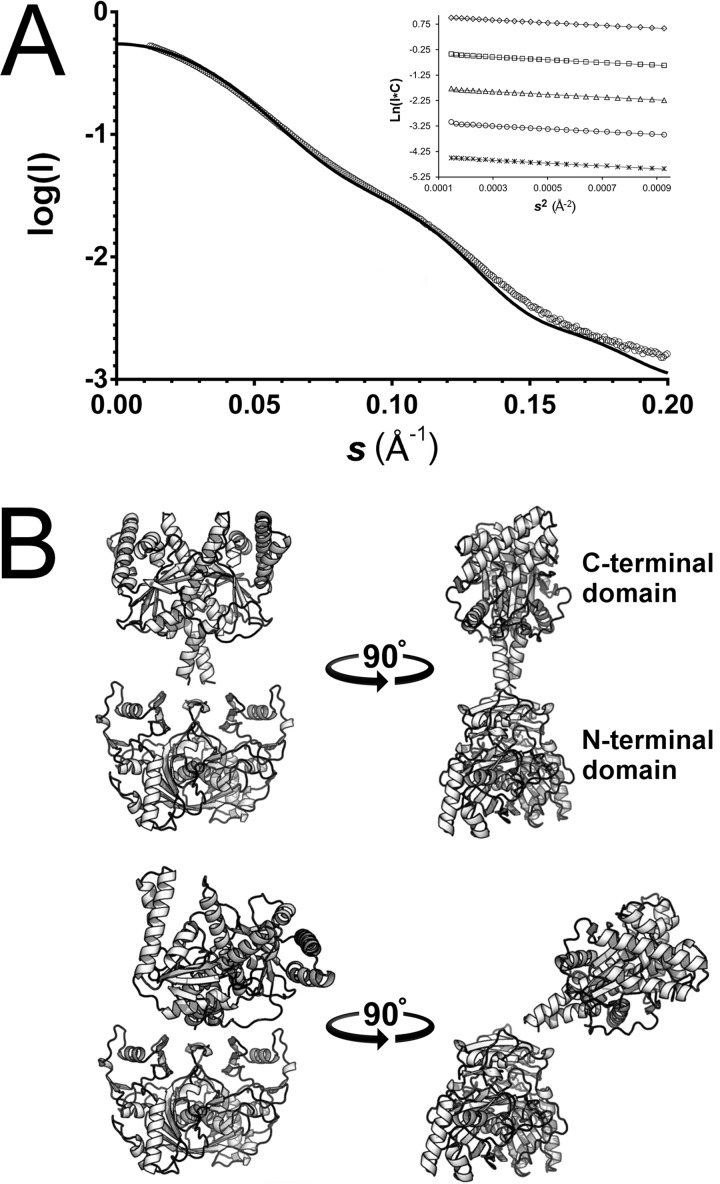 FIGURE 6.