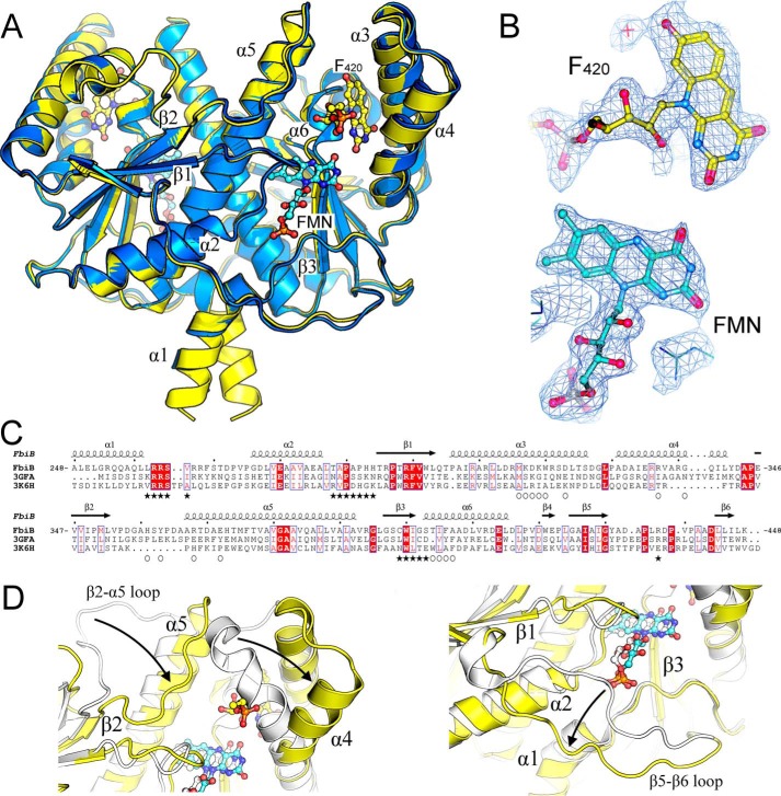 FIGURE 4.