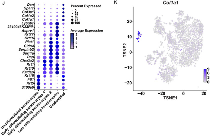 Figure 4: