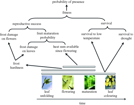 Figure 1.