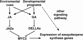 Figure 9.