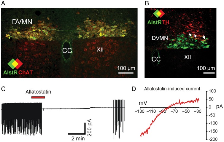 Figure 1