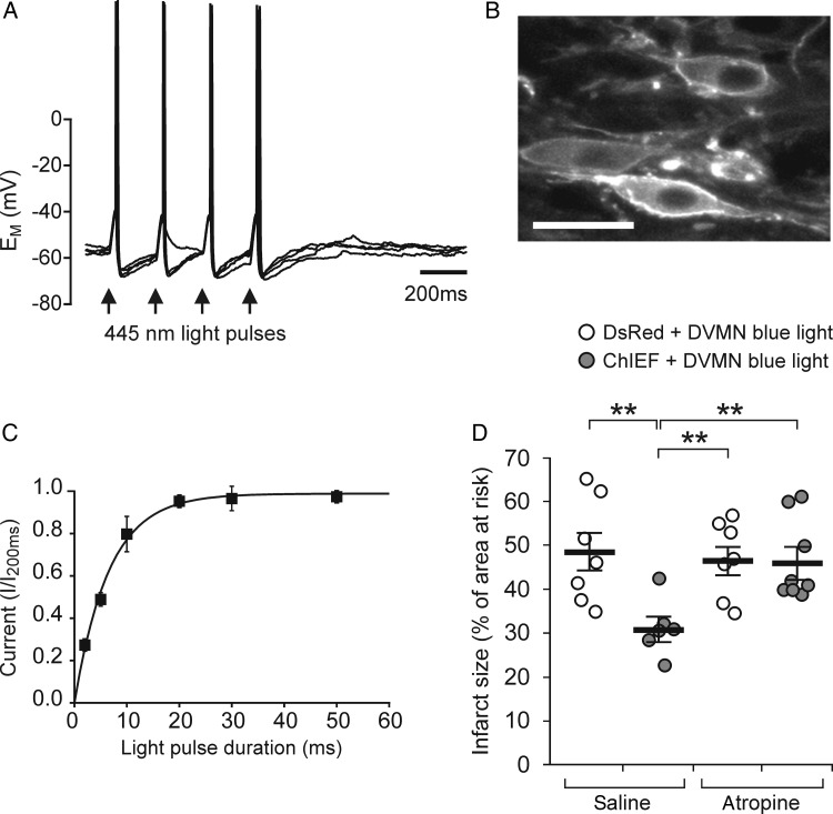 Figure 3