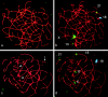 Figure  1