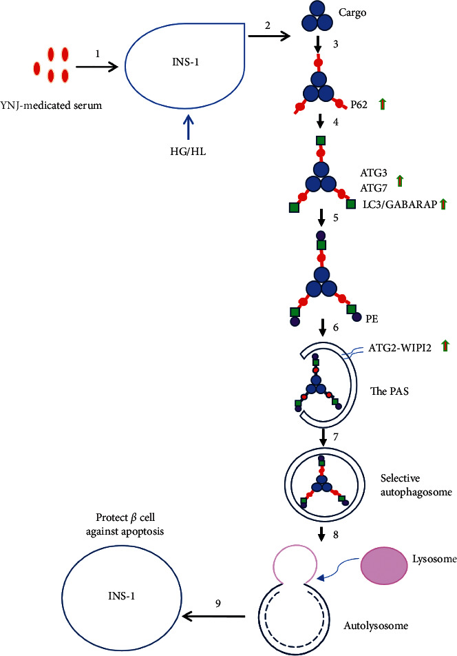 Figure 7