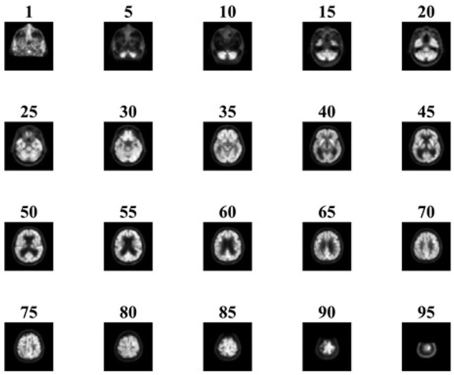 Figure 7