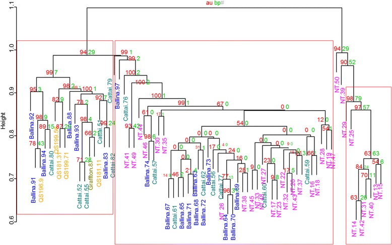 Fig. 2