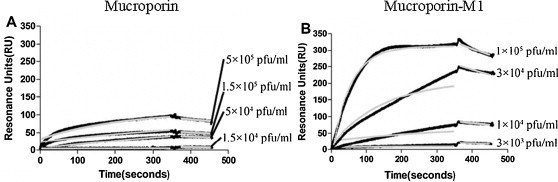 Fig. 5