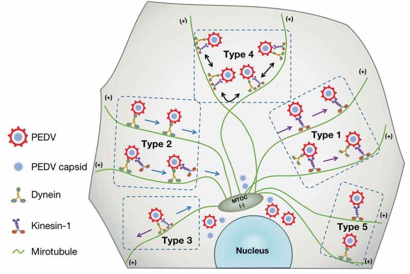 Figure 6.