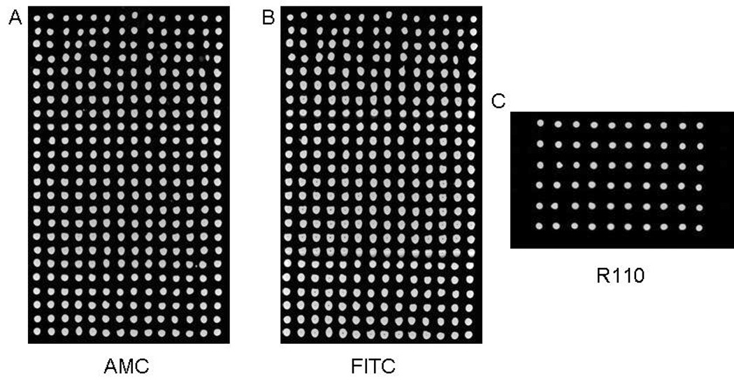 Fig. 3