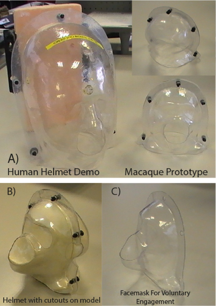 Fig. 1