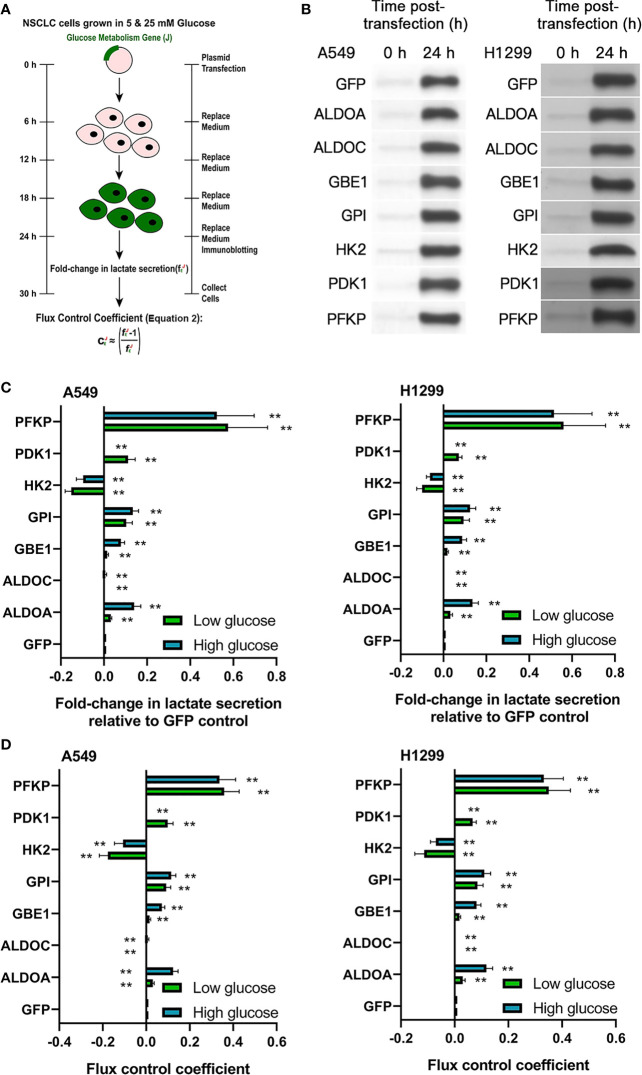 Figure 2