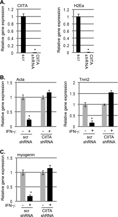 Fig. 9.