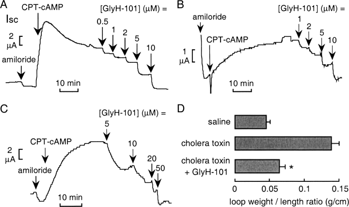 Figure 9. 