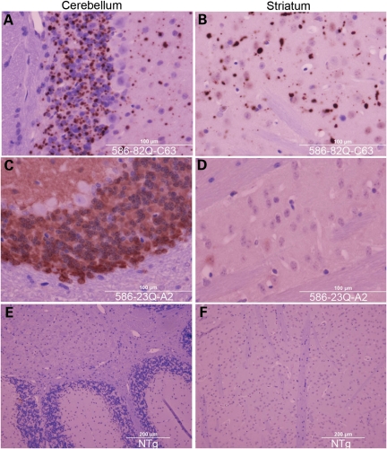 Figure 6.