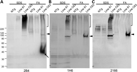 Figure 11.