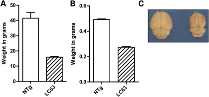 Figure 4.