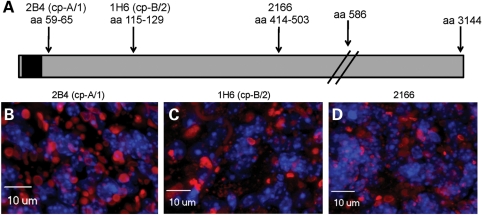 Figure 10.