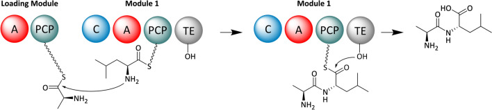 Fig. 2