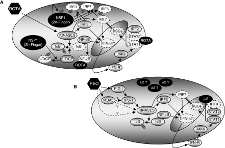 FIG. 1.