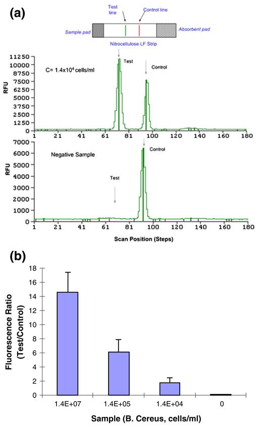 Fig. 10