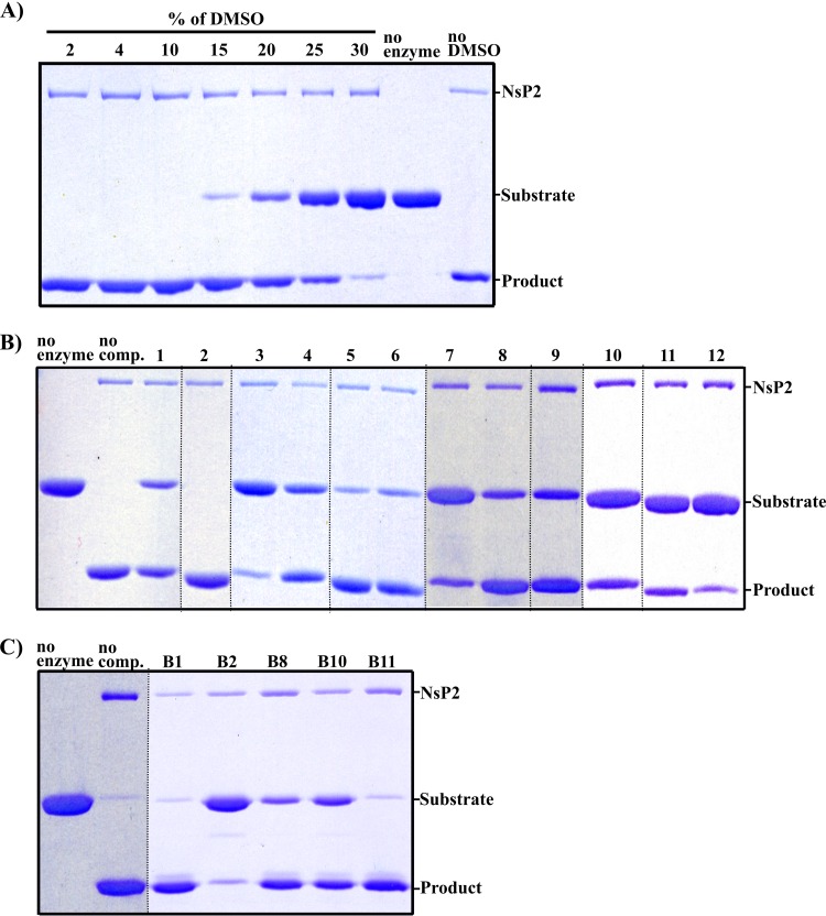 FIG 3