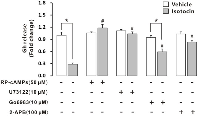 Figure 10