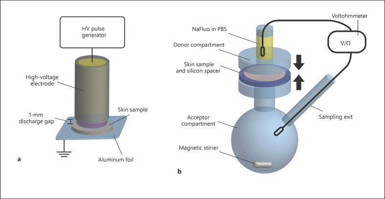 Fig. 1