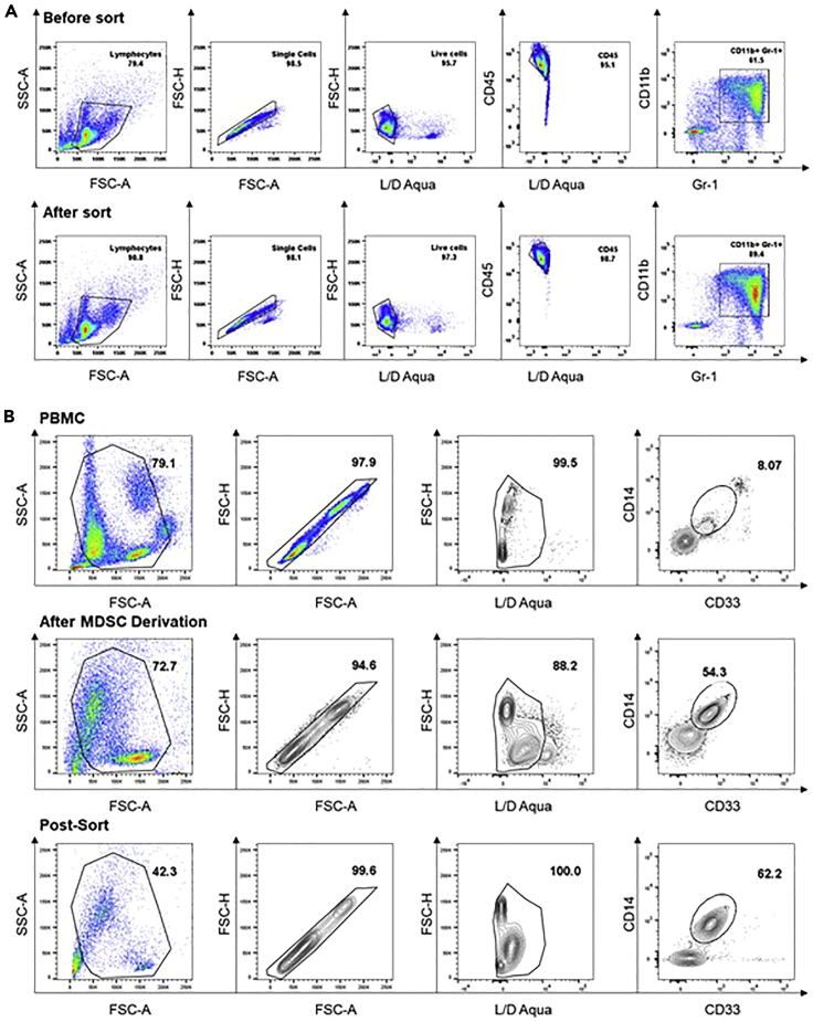 Figure 3