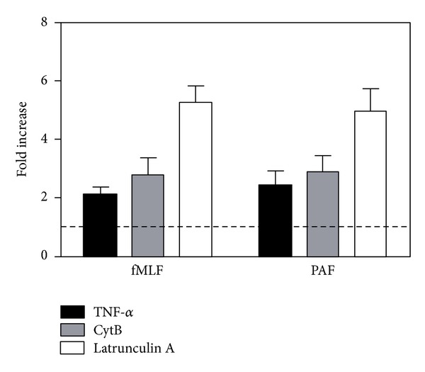 Figure 5