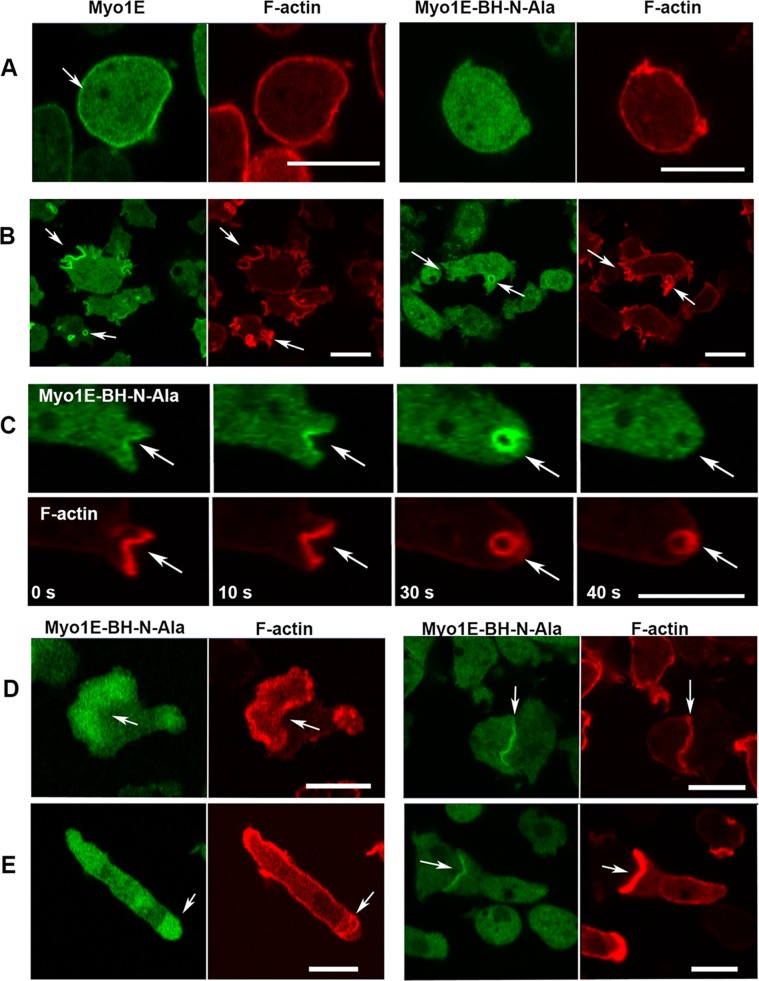 FIGURE 9: