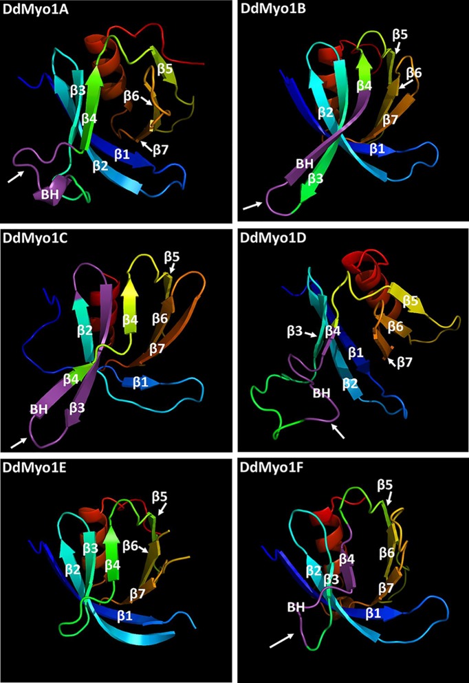 FIGURE 3: