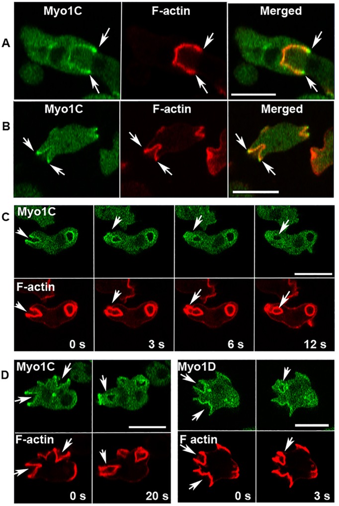 FIGURE 13: