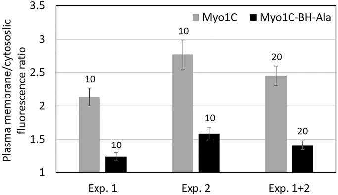 FIGURE 14: