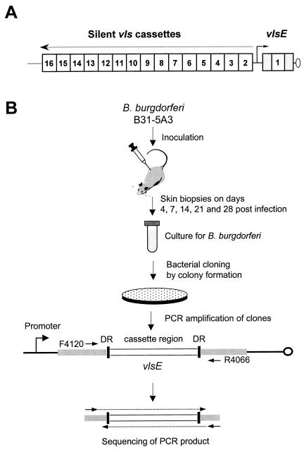 FIG. 1