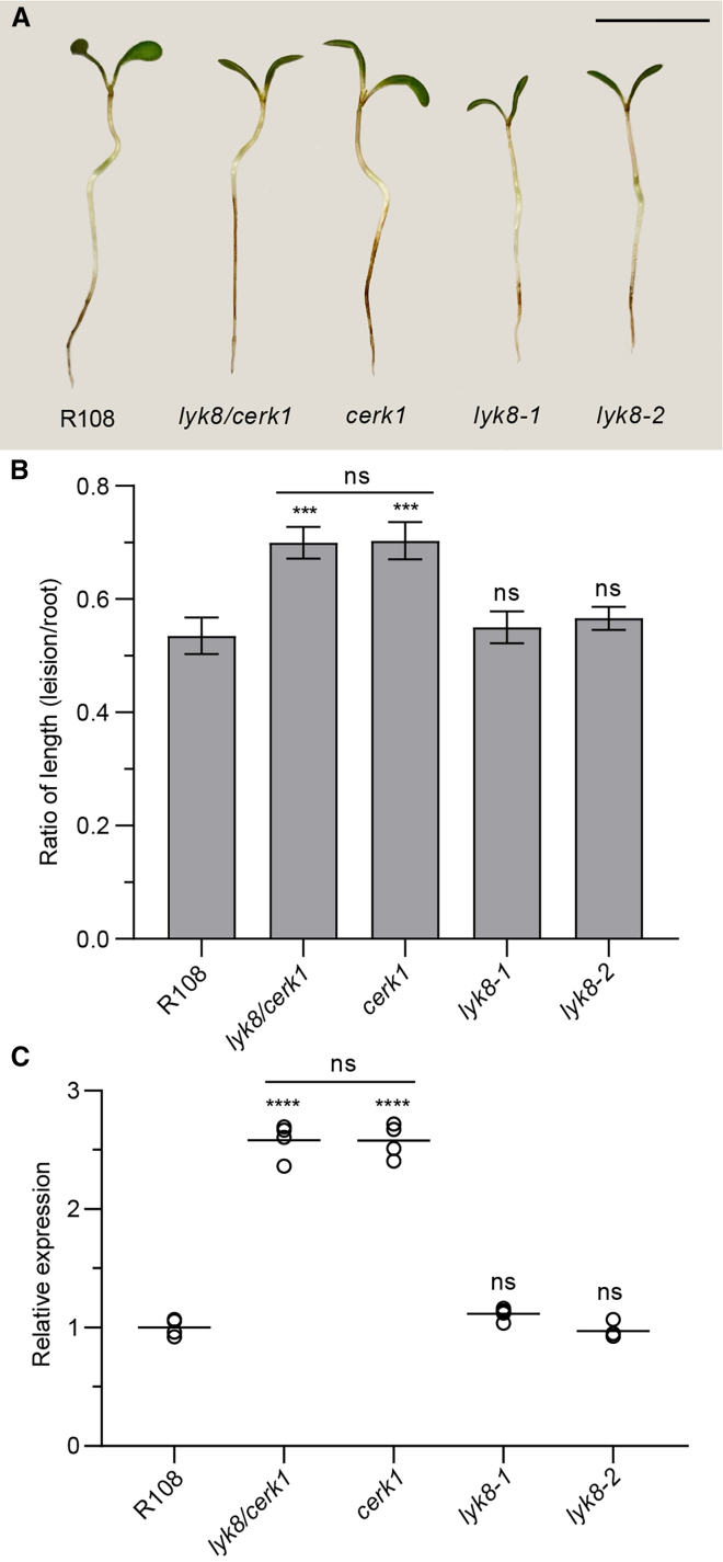 Figure 6