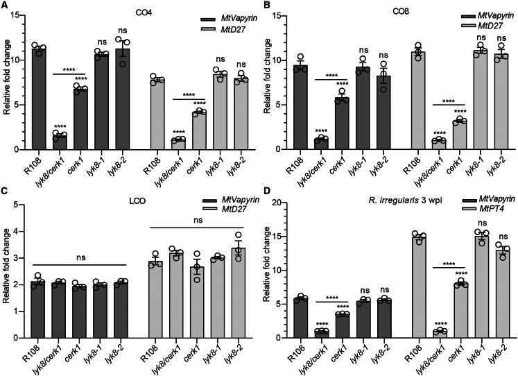 Figure 2