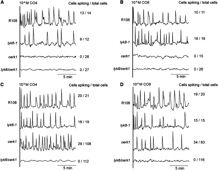 Figure 3