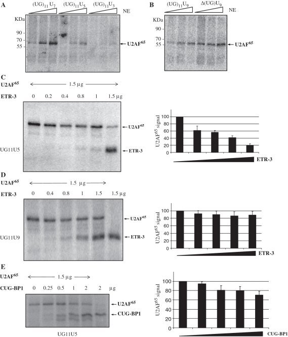 Figure 7.