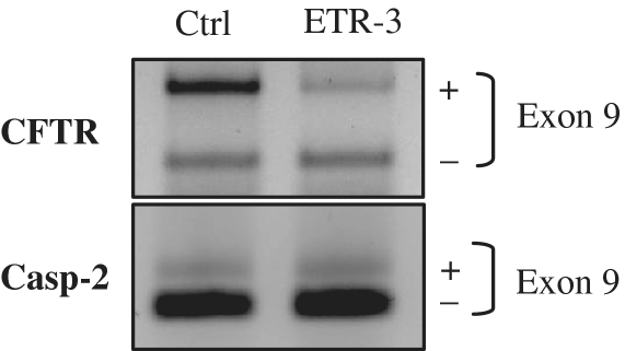 Figure 10.