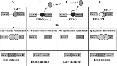 Figure 11.