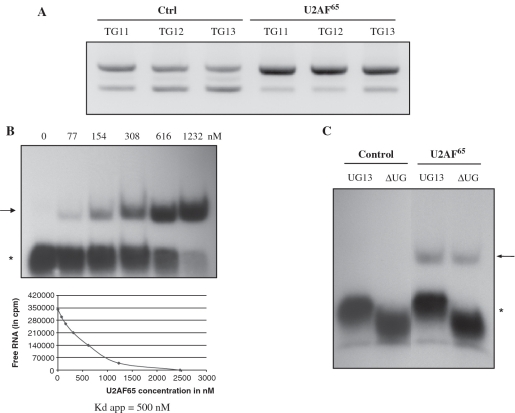 Figure 6.