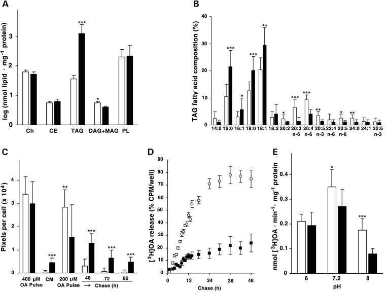 Figure 2.