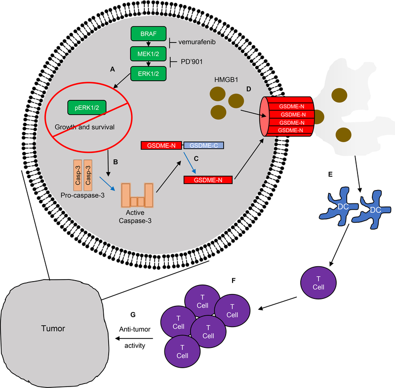 Figure 7: