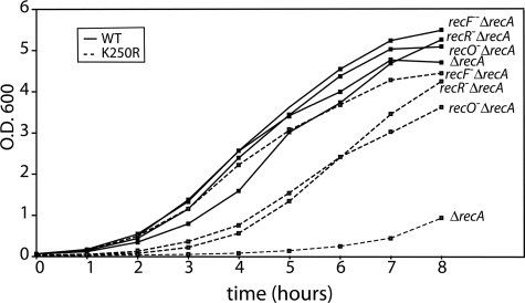 FIGURE 10.