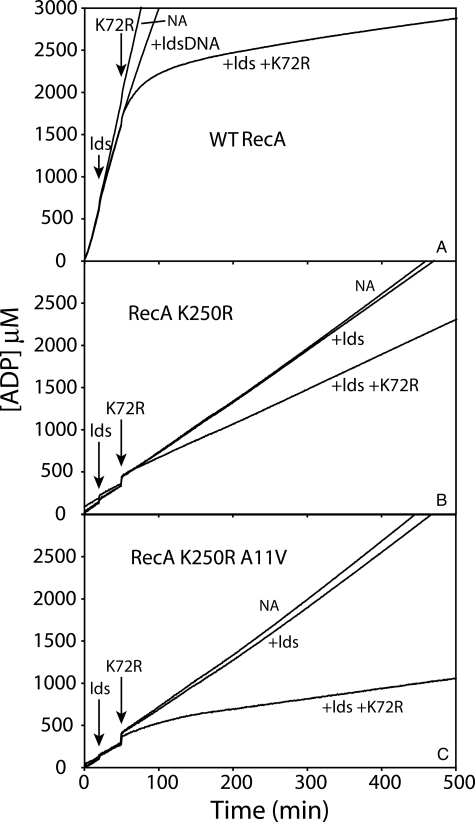 FIGURE 12.