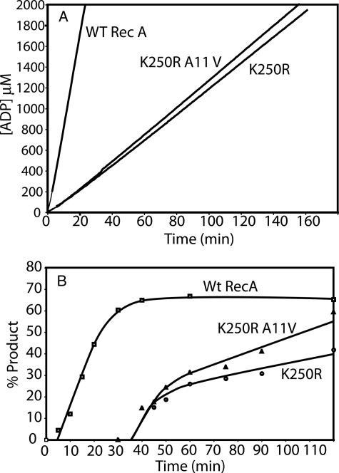 FIGURE 11.