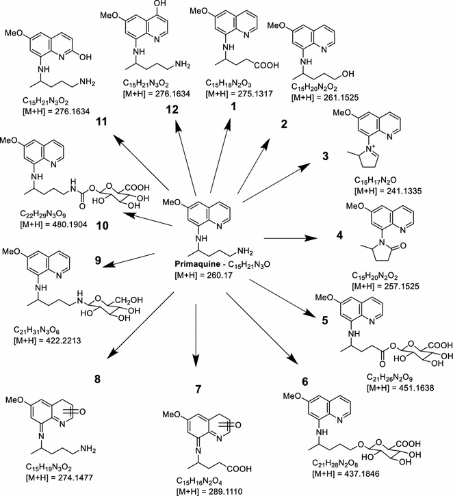 Fig. 2