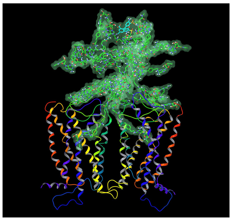 Figure 5