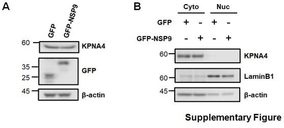 Supplementary Fig. 1